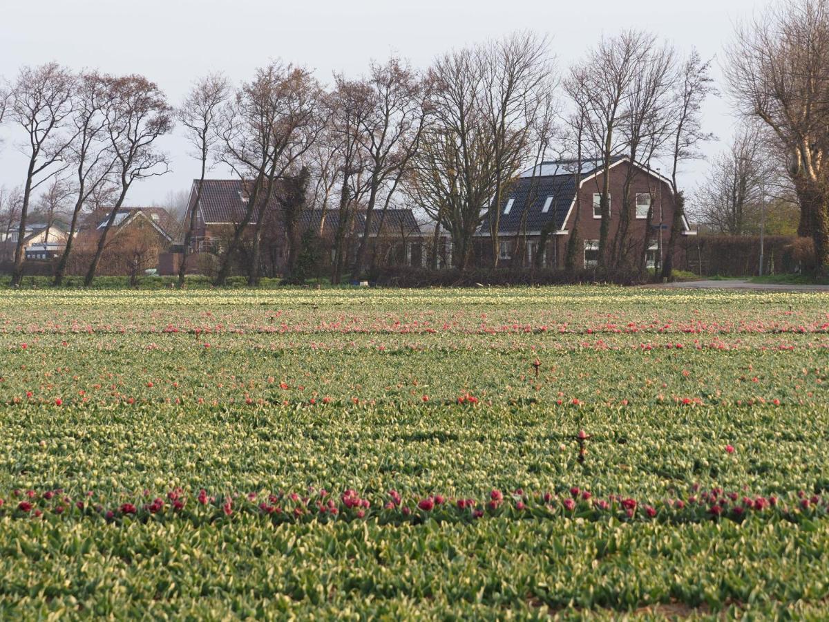 Lowlander Bnb Heemskerk Exterior photo